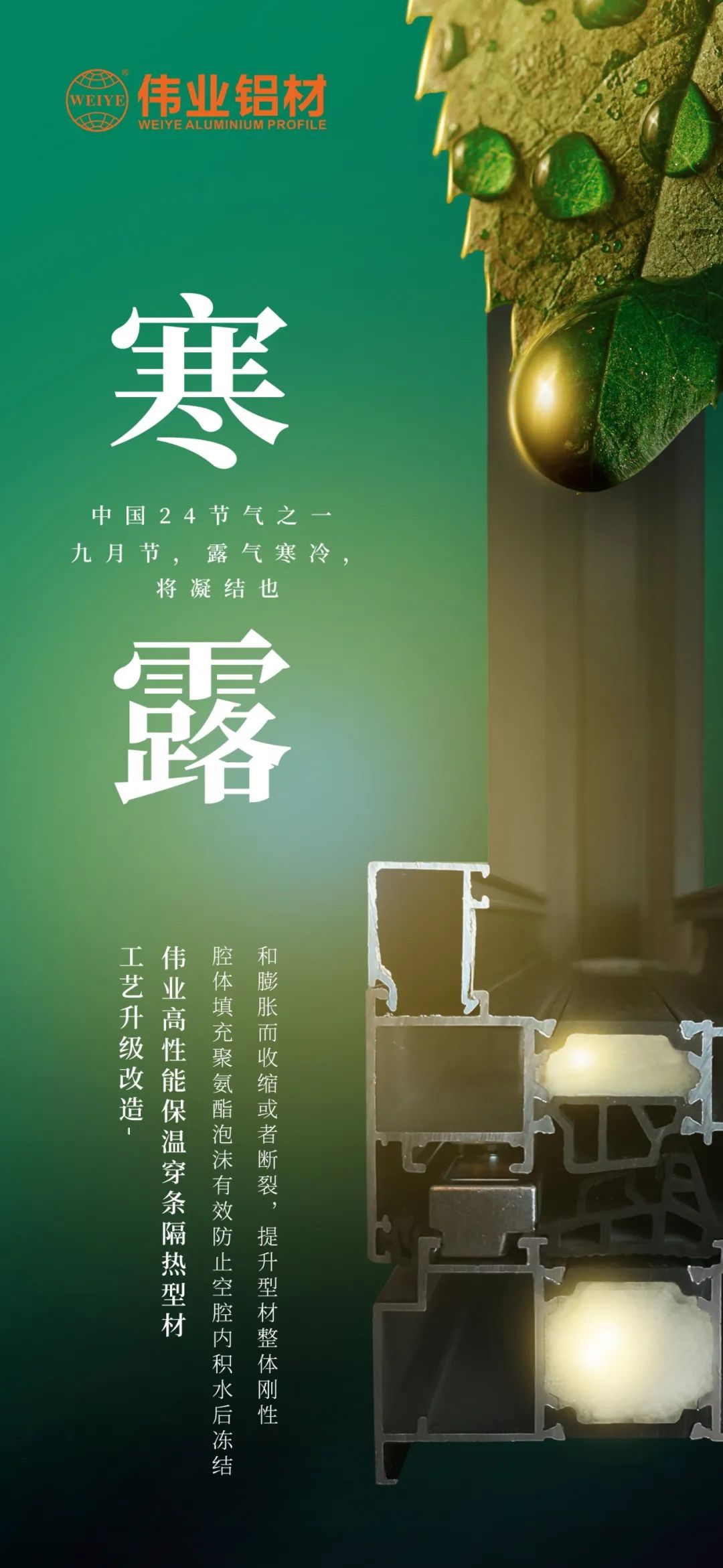 #寒露 九月节，，，，露气严寒，，，，将凝聚也 时光入深秋，，，，岁月便深情